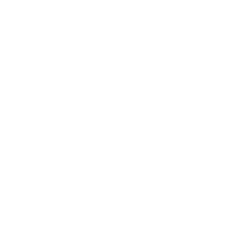 Dream everything